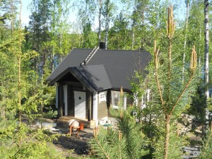 käsitööpalgist maja galeriisse (300)